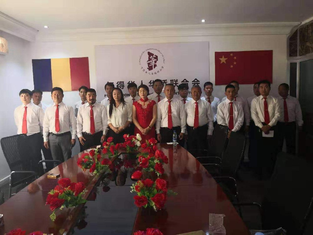 乍得华人华侨联合会防疫抗疫活动